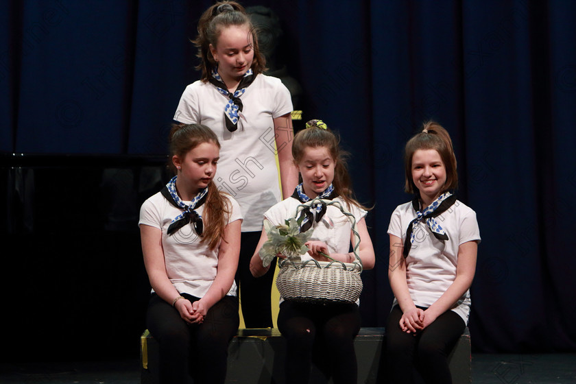 Feis01032020Sun30 
 21~33
Pam Golden Drama singing their own choice songs from Sound of Music.

Class:102: “The Juvenile Perpetual Cup” Group Action Songs 13 Years and Under

Feis20: Feis Maitiú festival held in Father Mathew Hall: EEjob: 01/03/2020: Picture: Ger Bonus