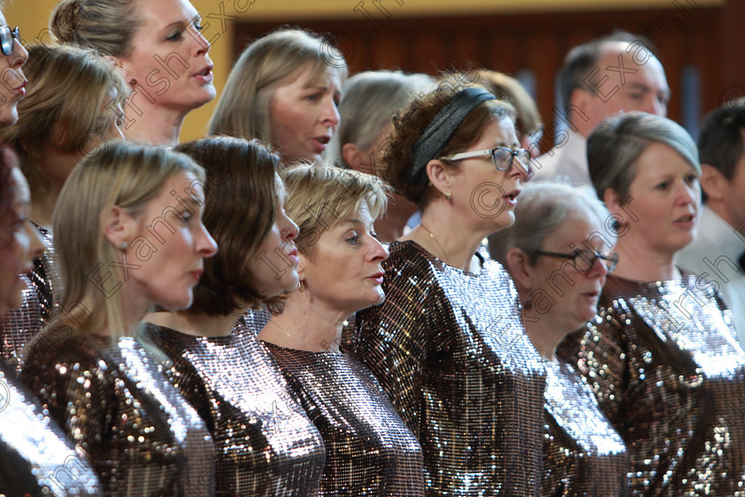 Feis0302109Sun26 
 26~30
Forte Mixed Voices singing “Into The West” and Razzle Dazzle”.

Class: 79: “The Holy Trinity Perpetual Cup” Chamber Choirs Two Contrasting Songs.

Feis Maitiú 93rd Festival held in Fr. Matthew Hall. EEjob 03/02/2019. Picture: Gerard Bonus.