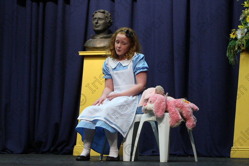 Feis16032018Fri04 
 3~4
Ali O’Connell performing “Alice In Wonderland”.
 Speech and Drama Class: 328: “The Fr. Nessan Shaw Memorial Perpetual Cup” Dramatic Solo 10 Years and Under Section 3 Feis Maitiú 92nd Festival held in Fr. Mathew Hall. EEjob 16/03/2018 Picture: Gerard Bonus.