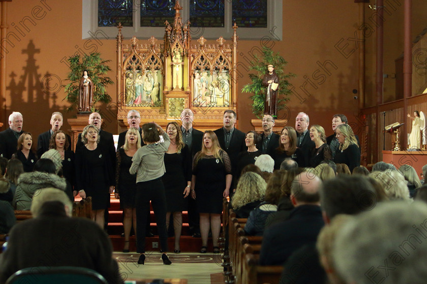 Feis0302109Sun70 
 67~71
Cantate singing “It was A lover and His Lass” Conducted by Elaine Kelly.

Class: 78: “The Lynch Memorial Perpetual Cup” Adult Vocal Choirs Two Contrasting Songs.

Feis Maitiú 93rd Festival held in Fr. Matthew Hall. EEjob 03/02/2019. Picture: Gerard Bonus.