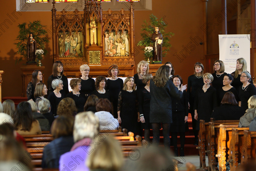 Feis04022018Sun64 
 63~70
Douglas Harmonia performing.
 Holy Trinity Capuchin Church Adult Choirs Class: 78: “The Lynch Memorial Perpetual Cup” Adult Vocal Choirs Two Contrasting Songs Feis Maitiú 92nd Festival held in Fr. Matthew Hall. EEjob 02/02/2018 Picture: Gerard Bonus.