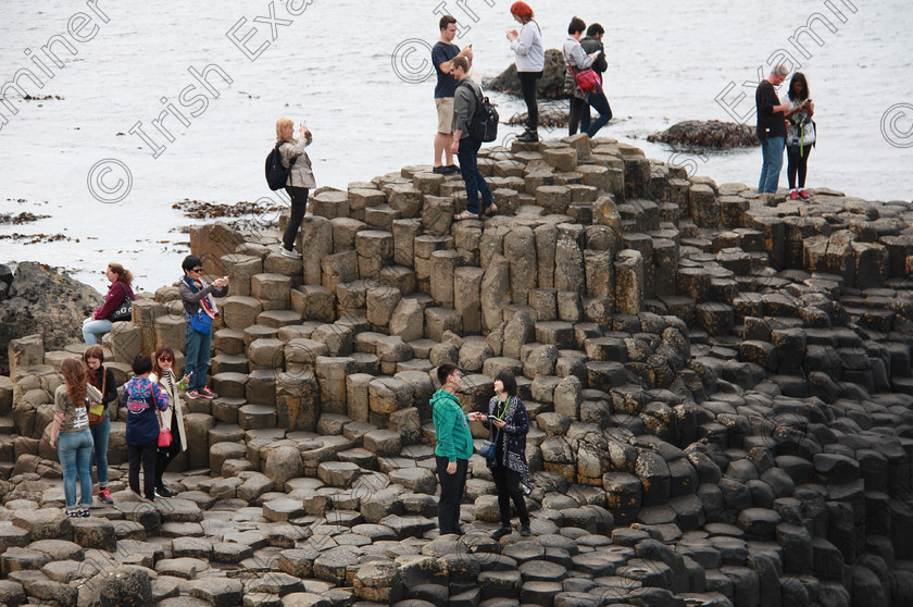 IMG 03871 
 Taken on july 2016,while visiting Giant causeway,NI.
Photographers Name: BOBBY IYPE