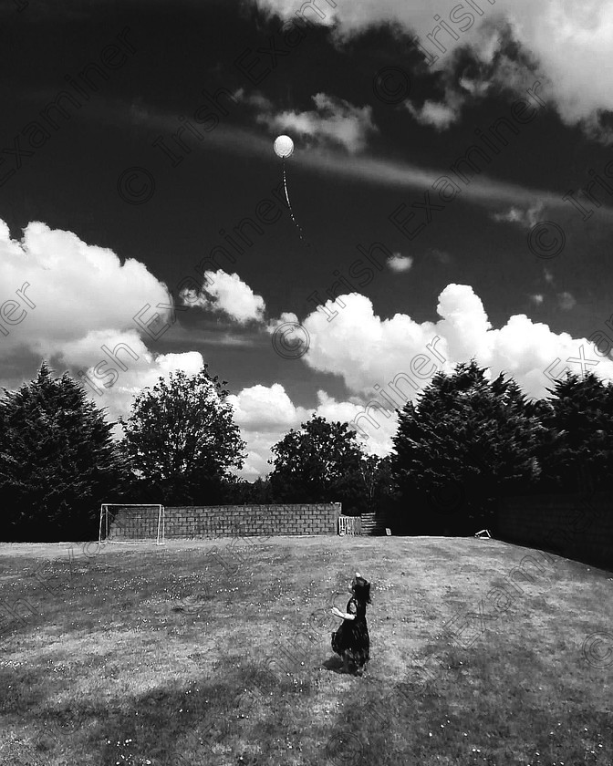 IMG 20200617 002126 891 
 3 year old Ava Malone and her Balloon Moon taking flight on a beautiful windy day in our back garden during lockdown in Ennis Co. Clare. Photo by her mammy Natalie McClean