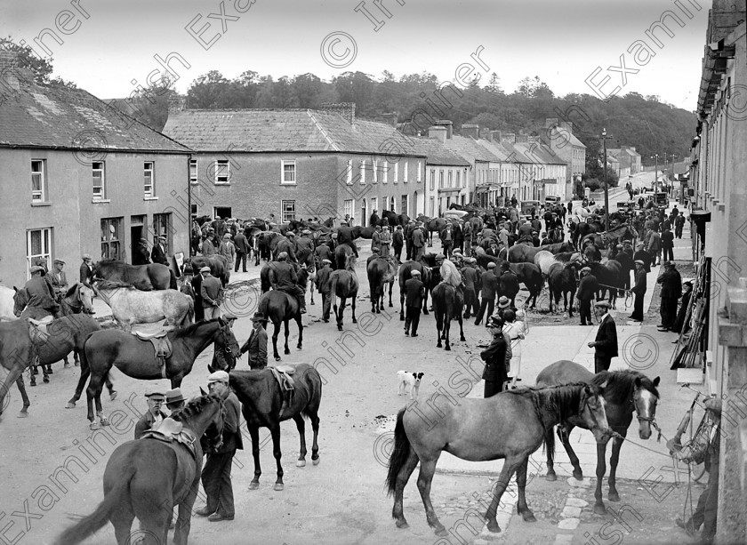 834264 
 Horse fair on Main Street, Killeagh, Co. Cork 19/08/1938 Ref. 208C