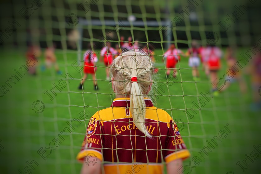 C1FA58CB-0306-4D93-ACDB-82B721755CB0 
 Debut - an excited Martha, aged 6, playing her first Youghal match @ Killeagh GAA, Co. Cork