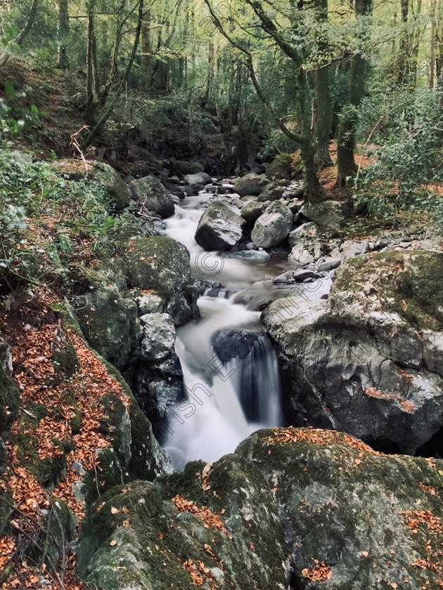 34AC7D49-1473-4396-8F76-1933BF9DA347 
 The River Mahon as it flows through Crough wood on its way from Mahon falls. Comeragh mountains, Co. Waterford.