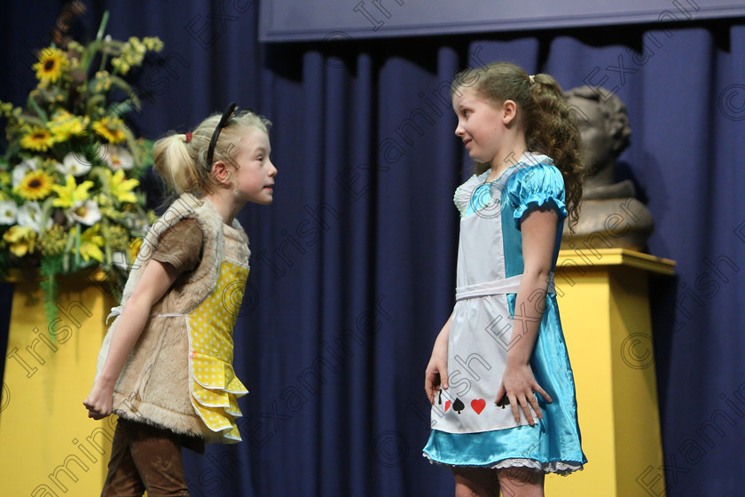 Feis24032018Sat65 
 63~65
Anna Louise Crowley and Christine Lucey performing a scene from “Goldilocks”.
 Speech and Drama Class: 312: Dramatic Duo 10 Years and Under Feis Maitiú 92nd Festival held in Fr. Mathew Hall. EEjob 24/03/2018 Picture: Gerard Bonus