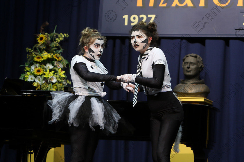 Feis15032018Thu23 
 22~24
Bronze medallists, 2nd place forPerformers Lily O’Connell and Molly O’Mahony from Blarney Street and Togher performing “Mongo Jerry and Rumple Teaser” from Cats.
 Speech and Drama Class: 336: “The Trevor Ryan Perpetual Cup” Musical Drama Duo18 Years and Under Feis Maitiú 92nd Festival held in Fr. Mathew Hall. EEjob 15/03/2018 Picture: Gerard Bonus.