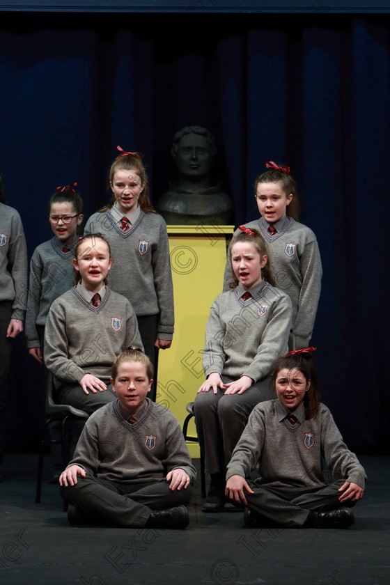 Feis12032020Thur32 
 31~35
Distinction; Brooklodge NS Glanmire performing Excuses Excuses.

Class:474: “The Junior Perpetual Cup” 6th Class Choral Speaking

Feis20: Feis Maitiú festival held in Father Mathew Hall: EEjob: 12/03/2020: Picture: Ger Bonus.