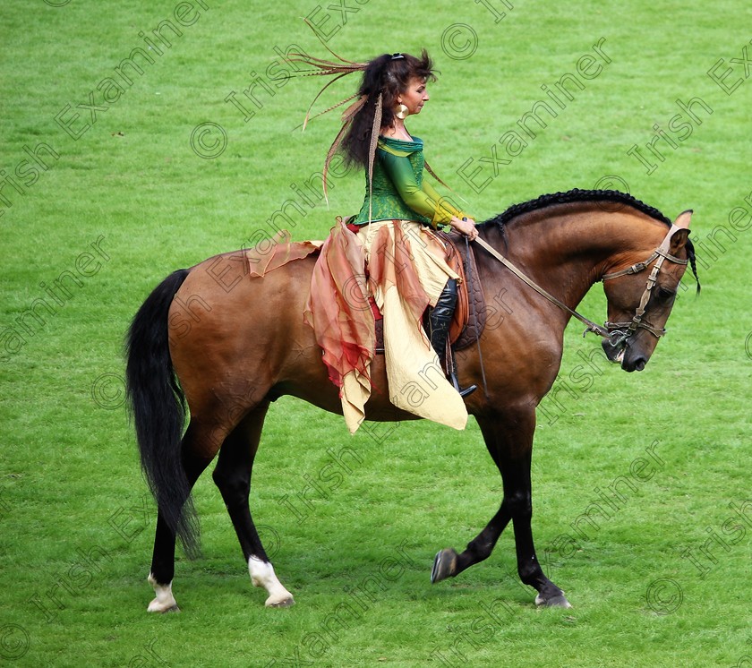 035 
 Poetry in Motion at the Dublin Horse Show.