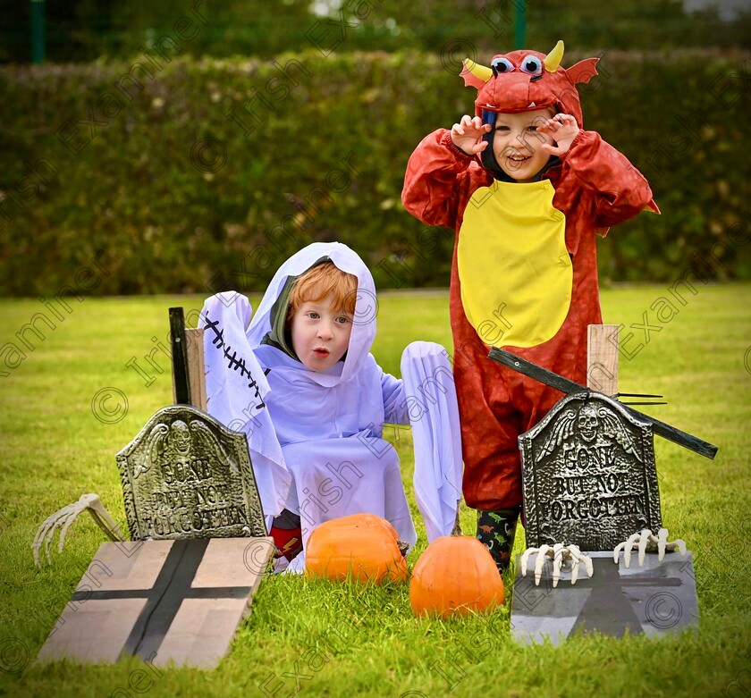 wheatley1 
 John and Adam Wheatley, Blackrock, Cork at the Pick A Pumpkin festival at Down Syndrome Cork Field of Dreams, Clash Road, Cork. Picture Dan Linehan