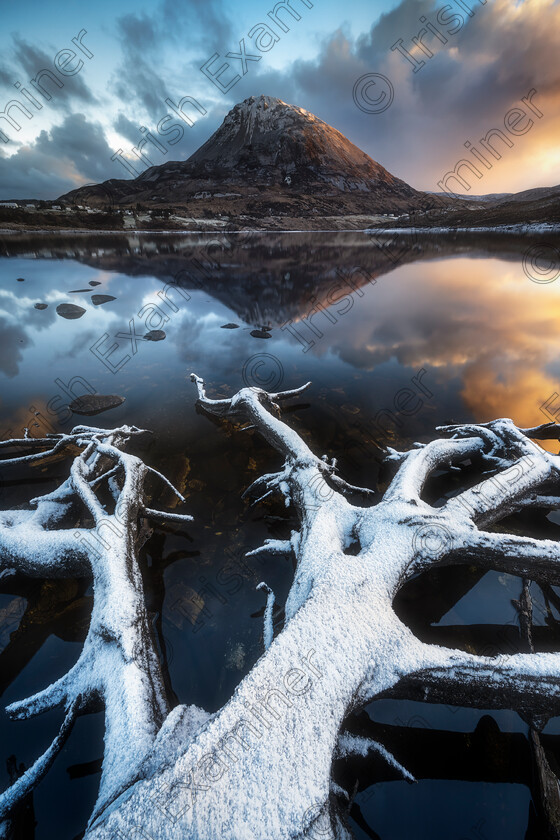 20240118 donegal jan24 3801 
 Dunlewy in the fantastic winter display with tree roots dipped in the lake, pointing towards the majestic Errigal. Great example photo to symbolize the Irish roots