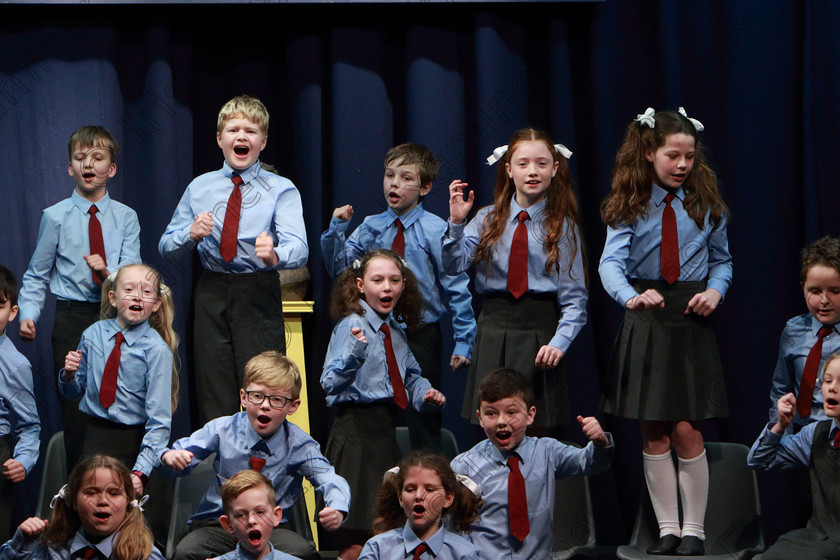 Feis10032020Tues50 
 48~54
Cup Winners and Silver Medallists; Ovens NS performing Transylvania Dreaming.

Class:476: “The Peg O’Mahony Memorial Perpetual Cup” Choral Speaking 4thClass

Feis20: Feis Maitiú festival held in Father Mathew Hall: EEjob: 10/03/2020: Picture: Ger Bonus.