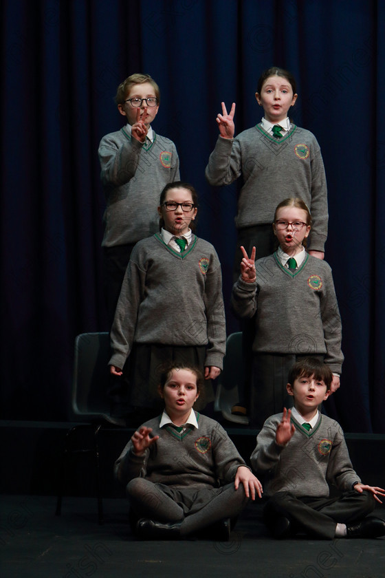 Feis10032020Tues33 
 31~36
Gaelscoil An Teaghlaigh Naofa performing My Puppy Is A Handfull.

Class:476: “The Peg O’Mahony Memorial Perpetual Cup” Choral Speaking 4thClass

Feis20: Feis Maitiú festival held in Father Mathew Hall: EEjob: 10/03/2020: Picture: Ger Bonus.