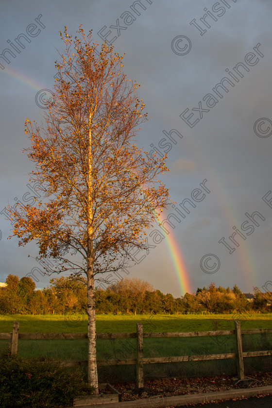 IMG 8684 
 Double rainbow captured while having a socially distant chat with a good friend at Aldi, Castleisland recently. Taken by MairÃ©ad O'Keeffe