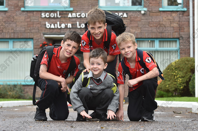 dan-class-1 
 Young Jack Collins who started school at St. Anthony’s Boys National School, Ballinlough, Cork, where he met up with his older brothers, Peter, 6th class, Tom, 5th Class and Daniel, 3rd class. Picture Dan Linehan