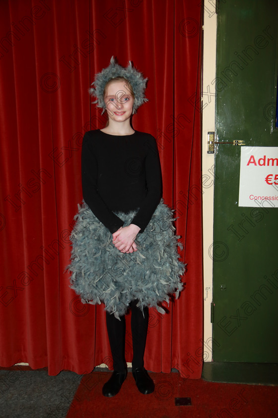 Feis10022020Mon49 
 49
Charlotte Walmsley from Douglas

Class:114: “The Henry O’Callaghan Memorial Perpetual Cup” Solo Action Song 10 Years and Under

Feis20: Feis Maitiú festival held in Father Mathew Hall: EEjob: 10/02/2020: Picture: Ger Bonus.