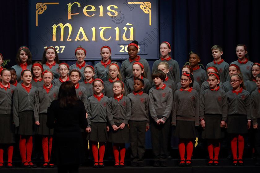 Feis12042018Thu14 
 12~16
St. Luke’s Primary School singing “Someday” and “Railway Carriage”.
 Singing Class: 84: “The Sr. M. Benedicta Memorial Perpetual Cup” Primary School Unison Choirs Section 1 Feis Maitiú 92nd Festival held in Fr. Mathew Hall. EEjob 28/03/2018 Picture: Gerard Bonus