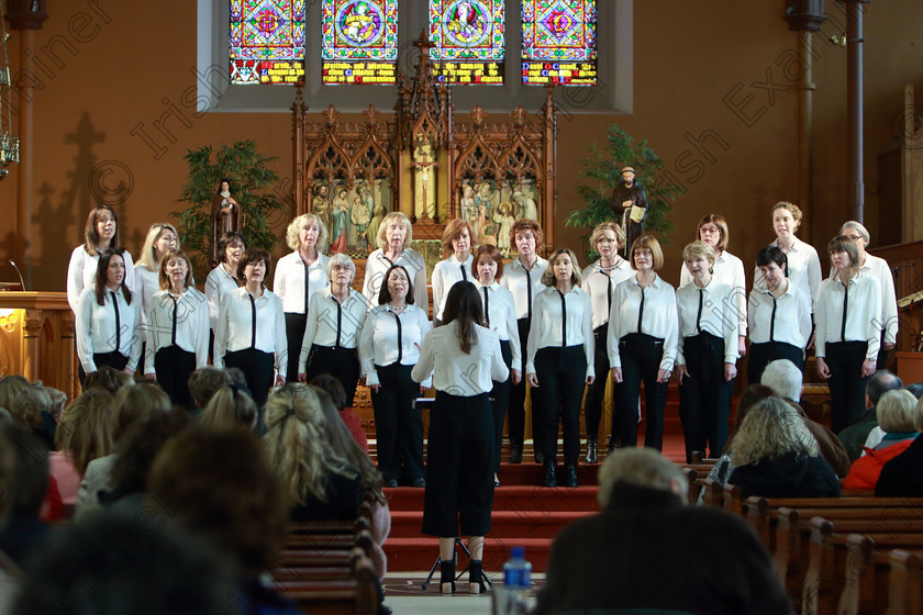 Feis0302109Sun38 
 34~38
Douglas Harmonia singing “Song Bird” and “The Blessing” Conducted by Lorna Moore.

Class: 79: “The Holy Trinity Perpetual Cup” Chamber Choirs Two Contrasting Songs.

Feis Maitiú 93rd Festival held in Fr. Matthew Hall. EEjob 03/02/2019. Picture: Gerard Bonus.