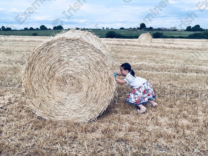 A8648899-5C3A-4AD1-91EB-9A3EF2931AF3 
 This Summer Liz-May, SÃ¶ren and Allen was delighted to help Owen and Betty at Berrings Co. Cork.