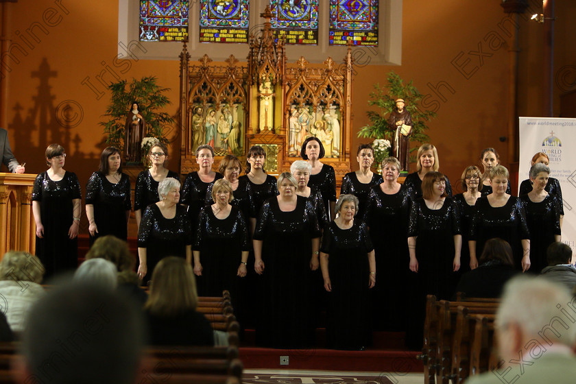 Feis04022018Sun88 
 88
The Voices conducted my Mary Pedder Daly 
 Class: 79: “The Holy Trinity Perpetual Cup” Chamber Choirs; Two Contrasting Songs Feis Maitiú 92nd Festival held in Fr. Mathew Hall. EEjob 04/02/2018 Picture: Gerard Bonus.