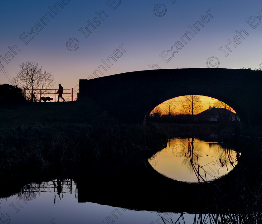 inbound6233839423617794942 
 Walking the dog
Ballyteague, Kildare
11/01/22