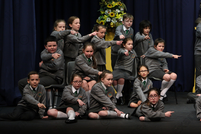 Feis23022018Fri14 
 6~14
An Teaghlaigh Ballyphehane performing.
 Speech and Drama Class: 476: “The Peg O’Mahony Memorial Perpetual Cup” Choral Speaking 4th Class Feis Maitiú 92nd Festival held in Fr. Mathew Hall. EEjob 23/02/2018 Picture: Gerard Bonus.