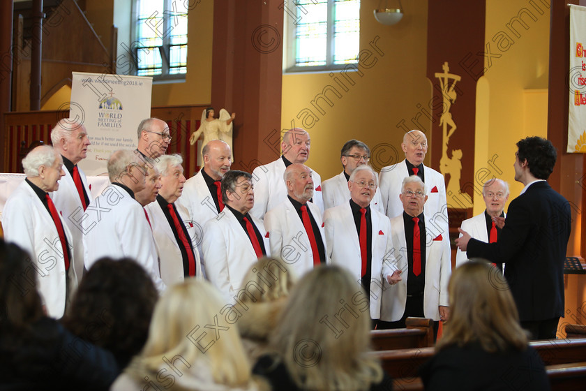 Feis04022018Sun60 
 58~60
Polyphonics Chorus conducted by Patrick Dalton.
 Holy Trinity Capuchin Church Adult Choirs Class: 78: “The Lynch Memorial Perpetual Cup” Adult Vocal Choirs Two Contrasting Songs Feis Maitiú 92nd Festival held in Fr. Matthew Hall. EEjob 02/02/2018 Picture: Gerard Bonus.