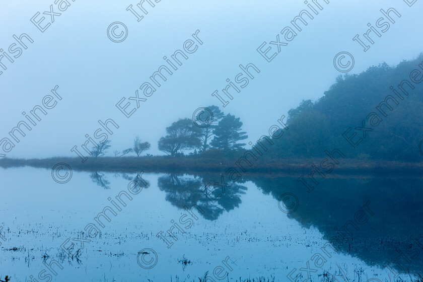 misty morn, KIllarnry n-pk (1 of 1) 
 A foggy winters morning in Killarney National Park