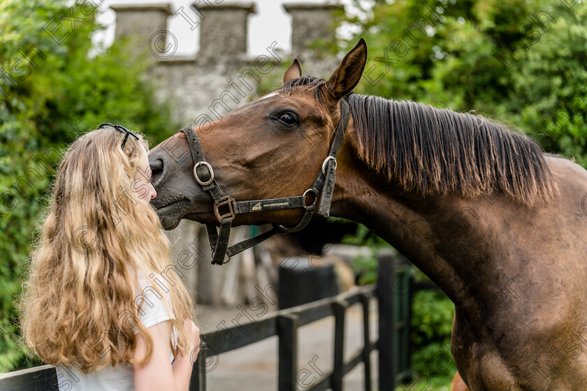 DSC01075 
 Love at first sight ,photo by Helen Maloney