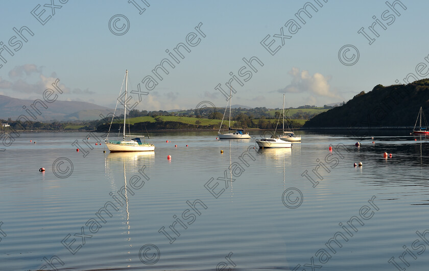 dan-yacht-1 
 Yachts moored in Bantry Bay, West Cork. Picture Dan Linehan