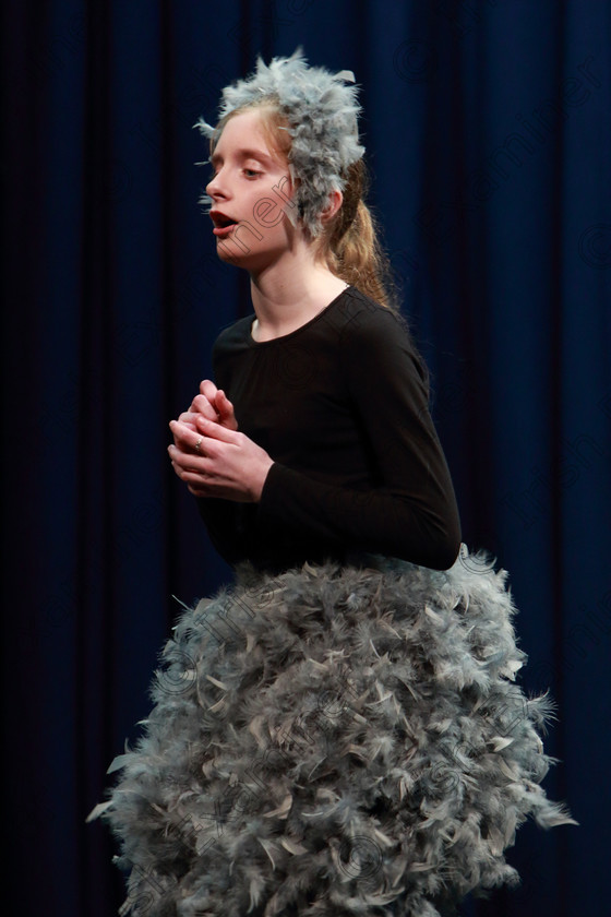 Feis10022020Mon25 
 25
Charlotte Walmsley from Douglas singing Different from Honk.

Class:114: “The Henry O’Callaghan Memorial Perpetual Cup” Solo Action Song 10 Years and Under

Feis20: Feis Maitiú festival held in Father Mathew Hall: EEjob: 10/02/2020: Picture: Ger Bonus.