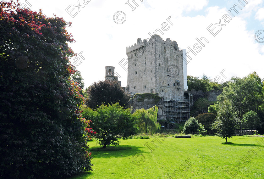 castlecolourhires 
 For 'READY FOR TARK'
Picking shamrock in the grounds of Blarney castle 03/03/1938 Ref. 285C Old black and white st. patrick's day tourism