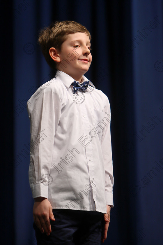 Feis11032018Sun39 
 39
Luke Wilson from Rochestown reciting his poem