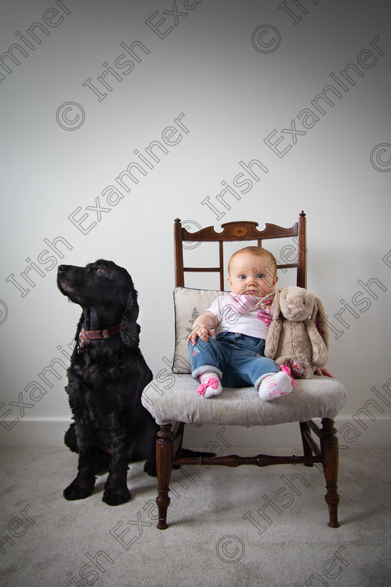 Lexie Paige Thankyoucard2018bkpic (1 of 1) 
 This is a pic of my I six-year-old Lexie, and my eight-month-old Paige with her bunny flopsy.