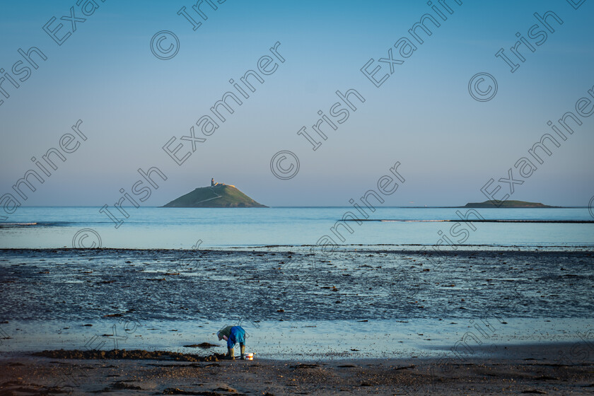 DSC7669 
 Digging for bait - taking advantage of the welcome calm weather to stock up on lugworms for fishing at Ardnahinch Beach, Shanagarry, Co. Cork Picture: Sally OReilly