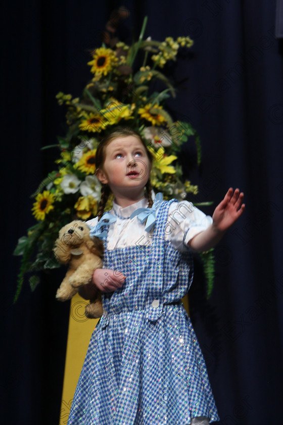 Feis20032018Tue28 
 27~28
Laura Cummins performing “Caught in the Cyclone” from The Wizard of Oz.
 Speech and Drama Class: 329: Dramatic Solo 8 Years and Under Feis Maitiú 92nd Festival held in Fr. Mathew Hall. EEjob 20/03/2018 Picture: Gerard Bonus