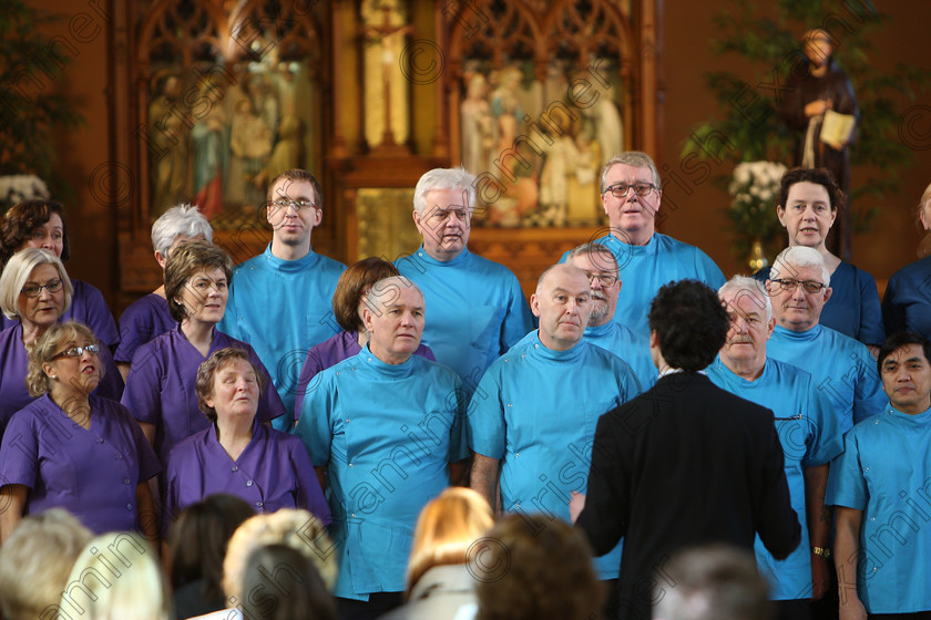 Feis04022018Sun52 
 49~57
Scrubs Choir conducted by Patrick Dalton.
 Holy Trinity Capuchin Church Adult Choirs Class: 78: “The Lynch Memorial Perpetual Cup” Adult Vocal Choirs Two Contrasting Songs Feis Maitiú 92nd Festival held in Fr. Matthew Hall. EEjob 02/02/2018 Picture: Gerard Bonus.