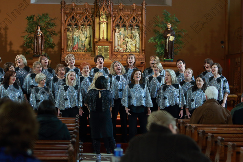 Feis0302109Sun44 
 42~46
Java Ladies Chorus singing “At Last” and “Sweet Georgia Brown” Conducted by Serena Standley.

Class: 79: “The Holy Trinity Perpetual Cup” Chamber Choirs Two Contrasting Songs.

Feis Maitiú 93rd Festival held in Fr. Matthew Hall. EEjob 03/02/2019. Picture: Gerard Bonus.