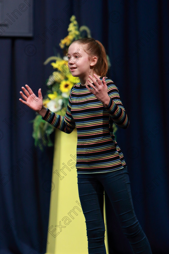 Feis05032019Tue22 
 22
Suzanne Bennett from Glounthaune giving a 3rd place performance of “Ring of Keys”.

Class: 113: “The Edna McBirney Memorial Perpetual Award”
Solo Action Song 12 Years and Under –Section 3 An action song of own choice.

Feis Maitiú 93rd Festival held in Fr. Mathew Hall. EEjob 05/03/2019. Picture: Gerard Bonus