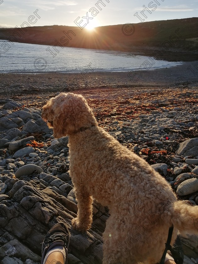 IMG 20200715 2108102 
 Golden moments Sunset shared by Rua at Toe Head Wild Atlantic Way West Cork September2020