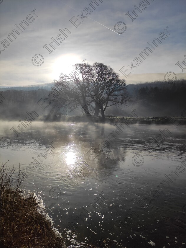 IMG 20220112 110546 
 Magical, mistical, river Suir, Kilsheelan