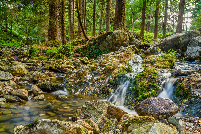 Streams in Co Wicklow 
 Streams in co Wicklow ,photo by Helen Maloney