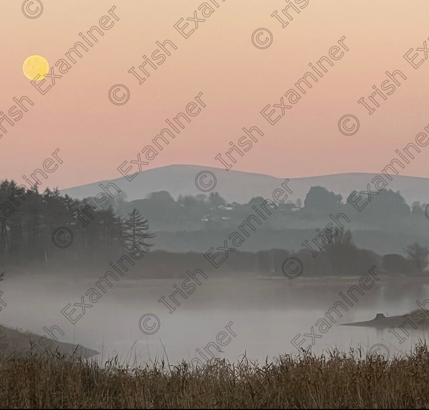 8D64BD28-283D-4063-927F-B3AD6411EA39 
 Moon and the mist.
A celestial moonrise over the lake with the Wicklow mountains in the background on a misty evening in Burgage Moyle, Co. Wicklow. December â€˜21 a winter walk.