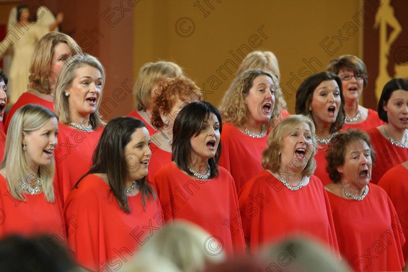 Feis04022018Sun20 
 17~23
Java Ladies Chorus conducted by Serena Standley.
 Holy Trinity Capuchin Church Adult Choirs Class: 76: “The Wm. Egan Perpetual Cup” Adult Sacred Choral Group or Choir Feis Maitiú 92nd Festival held in Fr. Matthew Hall. EEjob 02/02/2018 Picture: Gerard Bonus.