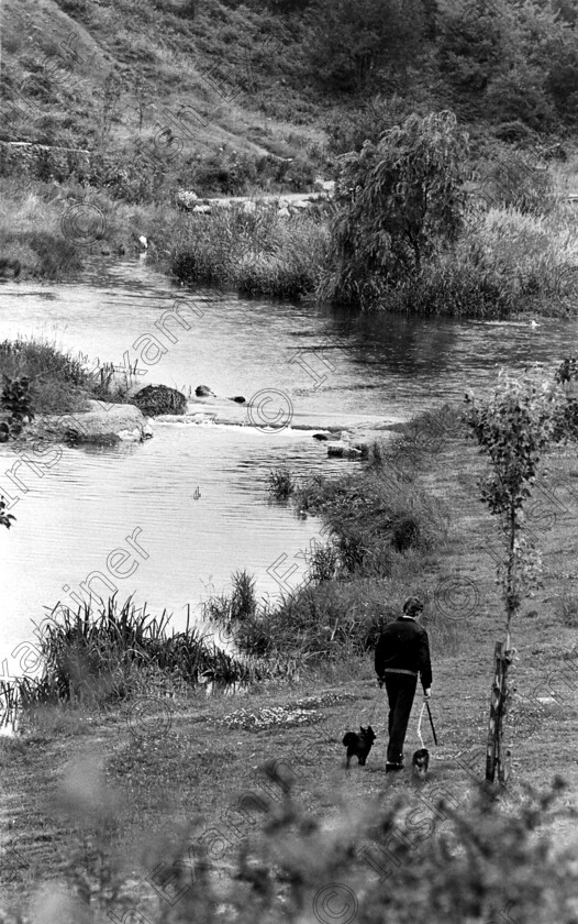 GOULDINGS888 
 The recreation park at Gouldings Glen, Cork pictured in 1985.

Parks, The Glen playgrounds dogs