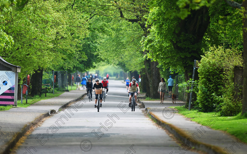 marinacyclist 
 Cyclists and walkers at The Marina, Cork on Saturday.
Motor vehicles are still using the Marina despite the road closures that are in place when Covid 19 testing is taking place at Pairc Ui Chaoimh.
Covid-19 coronavirus global pandemic 2020.
Pic; Larry Cummins.