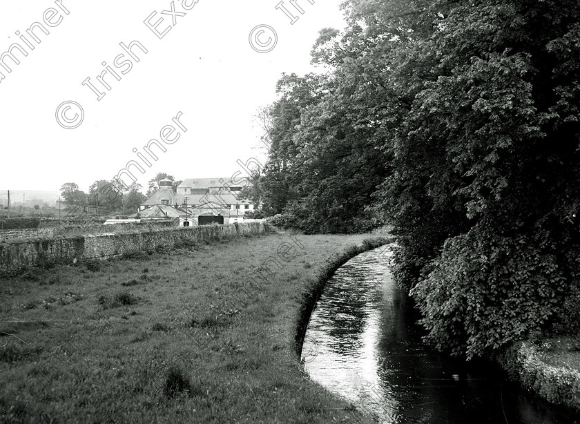 202094 
 MIDLETON DISTILLERY 16/06/55 - REF. 363H

BLACK AND WHITE

DOWN MEMORY LANE