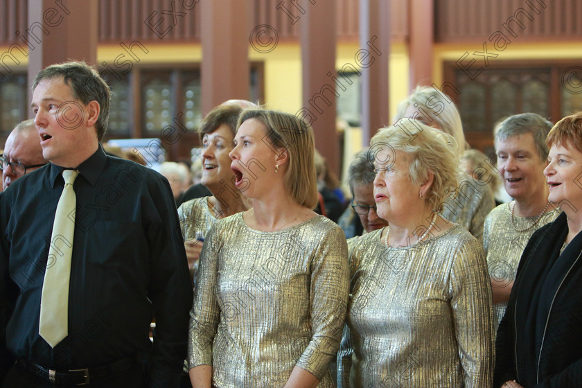 Feis0302109Sun11 
 8~10
Adjudicator: Marilynne Davies getting all the Choirs warmed up before they perform.

Class: 76: “The Wm. Egan Perpetual Cup” Adult Sacred Choral Group or Choir Two settings of Sacred Words.

Feis Maitiú 93rd Festival held in Fr. Matthew Hall. EEjob 03/02/2019. Picture: Gerard Bonus.