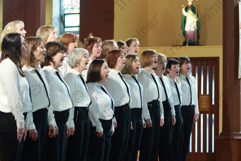 Feis0302109Sun36 
 34~38
Douglas Harmonia singing “Song Bird” and “The Blessing” Conducted by Lorna Moore.

Class: 79: “The Holy Trinity Perpetual Cup” Chamber Choirs Two Contrasting Songs.

Feis Maitiú 93rd Festival held in Fr. Matthew Hall. EEjob 03/02/2019. Picture: Gerard Bonus.